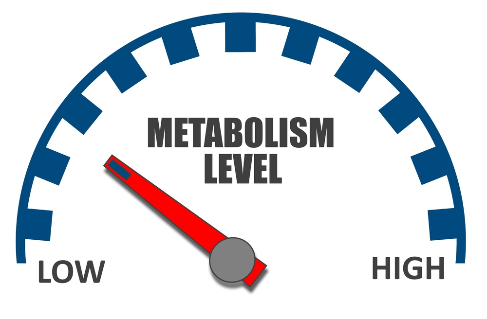 Metabolizmus